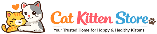 Cat Kitten Store